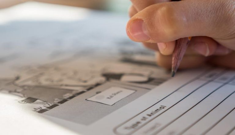 What Is The Easiest Homeschool Curriculum Homeschooler Pro